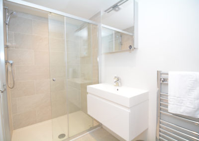 Ensuite shower room of downstairs king bedroom of 3 bed self catering accommodation near winchester